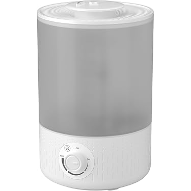 Amazon.co.jp 最新リリース: 加湿器 の新着ランキングです。